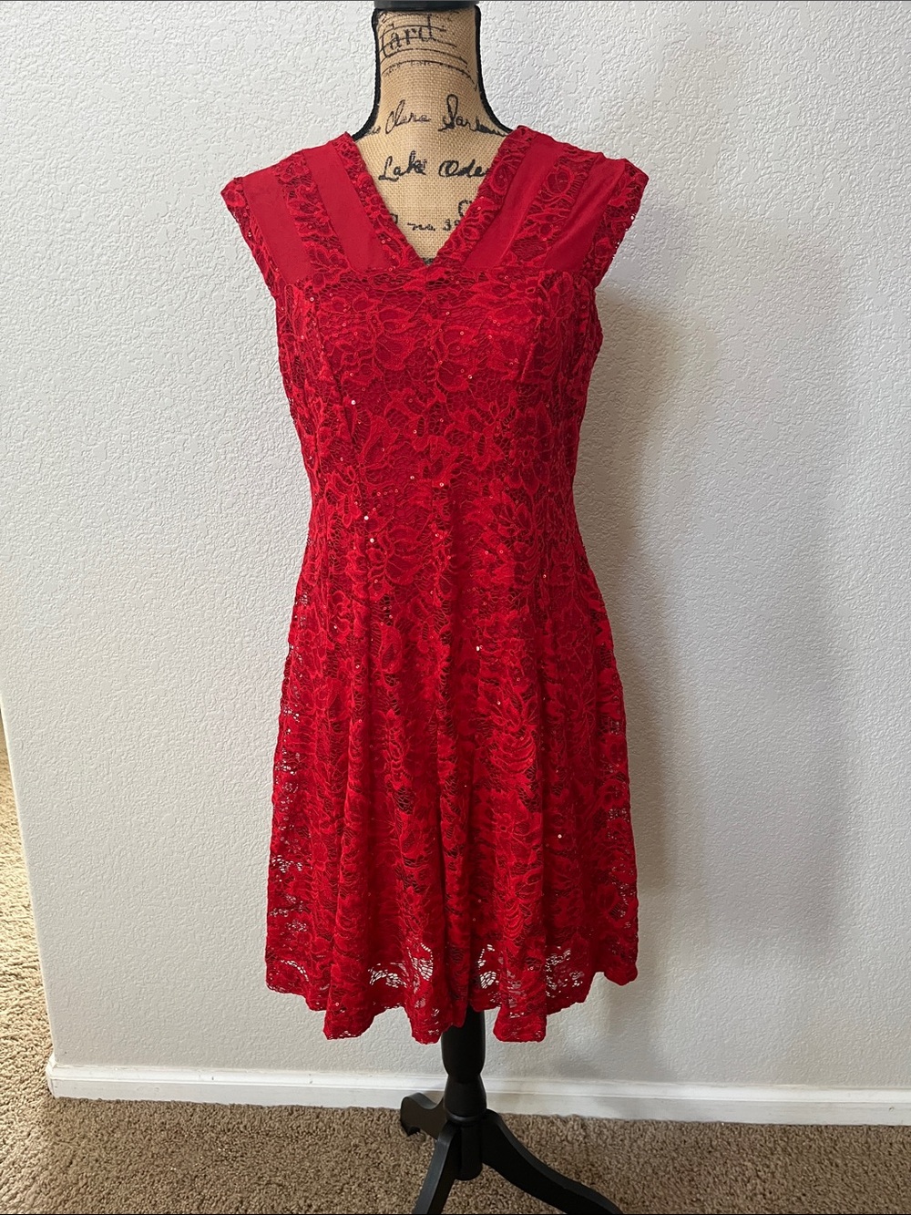 Roz & Ali Red Lace V-Neck Midi Dress Size 8 Petite